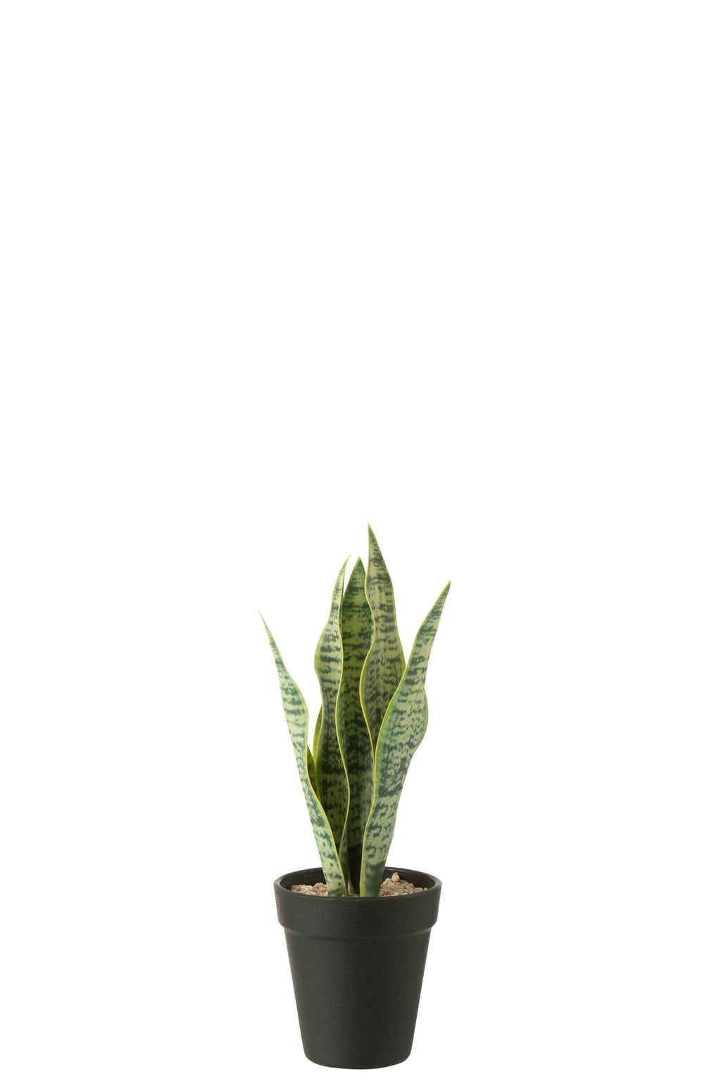 J-Line Dracaena Trifasciata In Pot Kunstmatig Groen Small