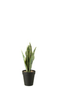 J-Line Dracaena Trifasciata In Pot Kunstmatig Groen Small