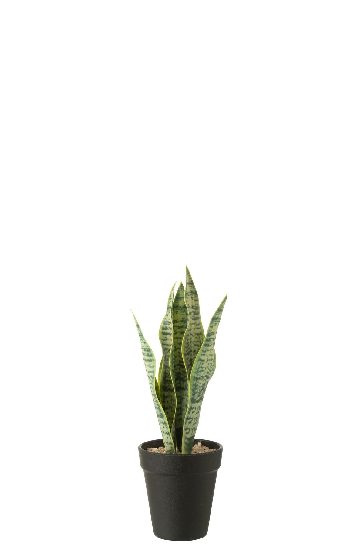 J-Line Dracaena Trifasciata In Pot Kunstmatig Groen Small