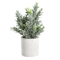 Kunstplant Chitose Groen 16x22cm