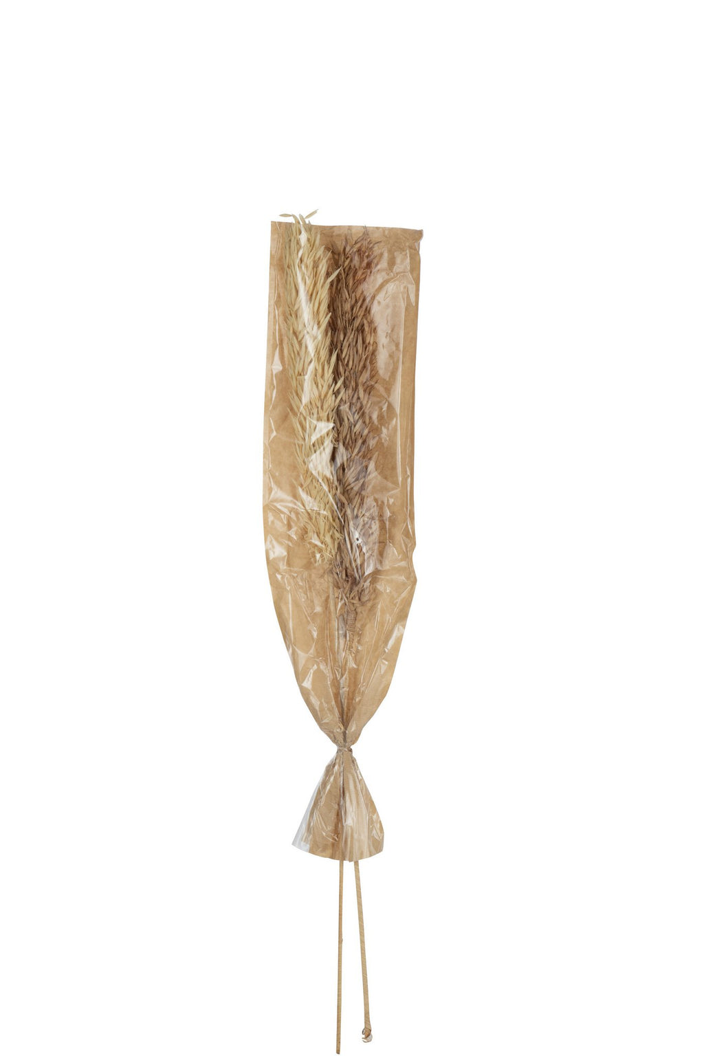 J-Line droogbloemen Oogst - rotin/pluim - naturel
