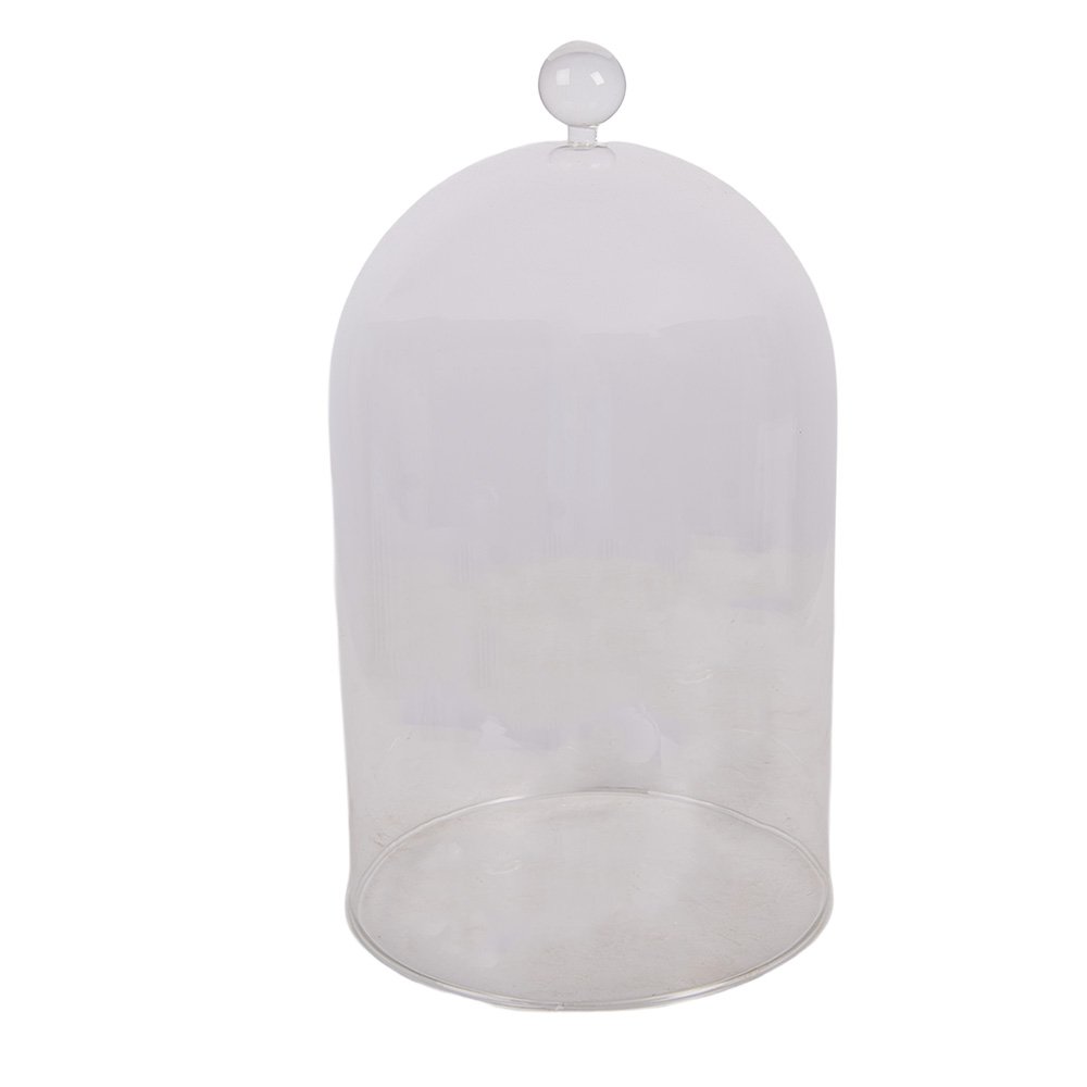 Glazen Stolp Ø 17x29 cm Transparant Glas