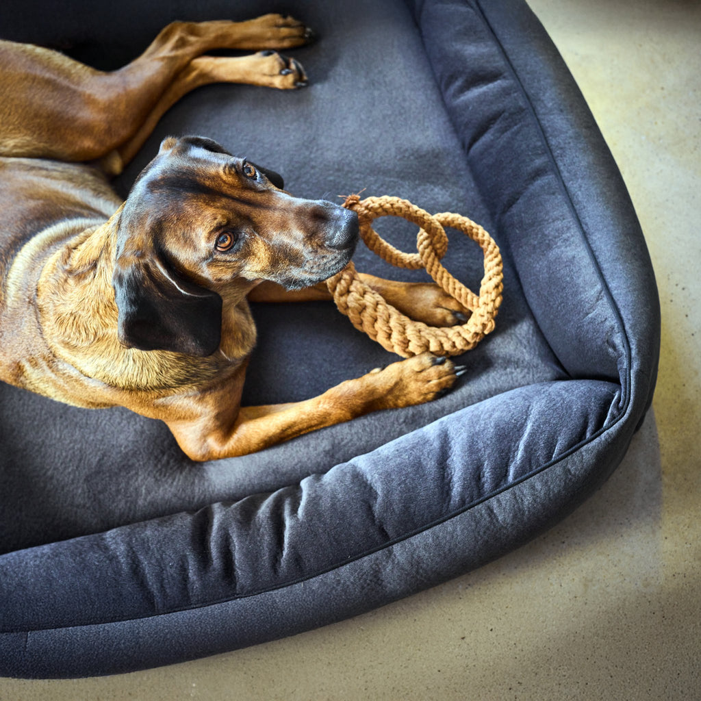 Buffel Ortho | Premium orthopedisch hondenbed