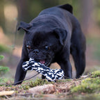 Bonnie Bone - cultspeelgoed voor honden