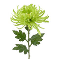 Kunstbloem Groen Kunststof