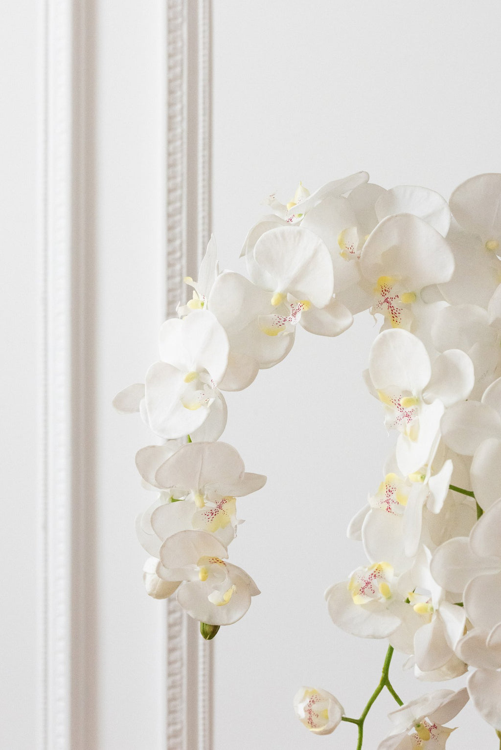 J-Line plant Orchidee In Aarde - kunststof - wit/groen - extra large