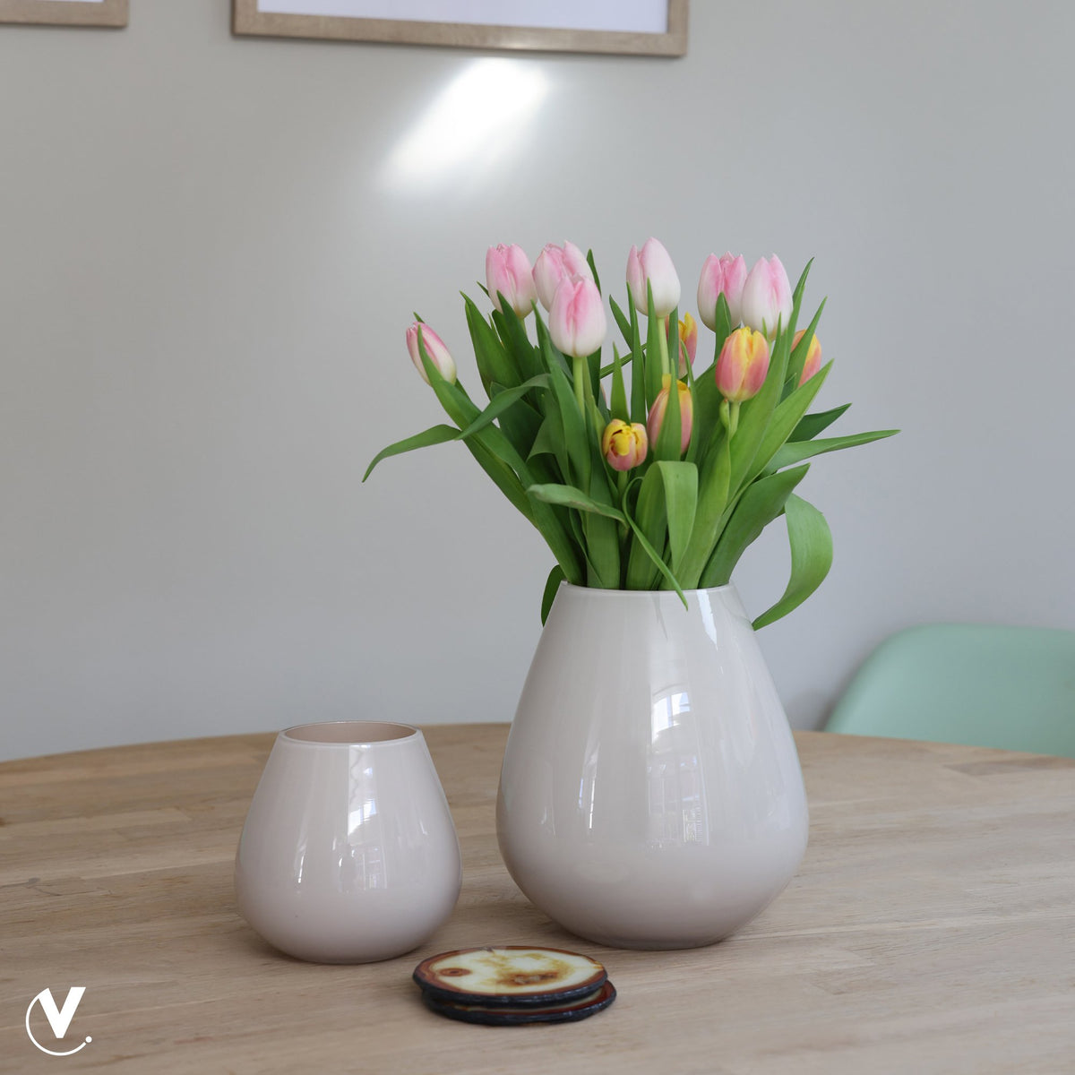 Vaas - Tasman S ivory
