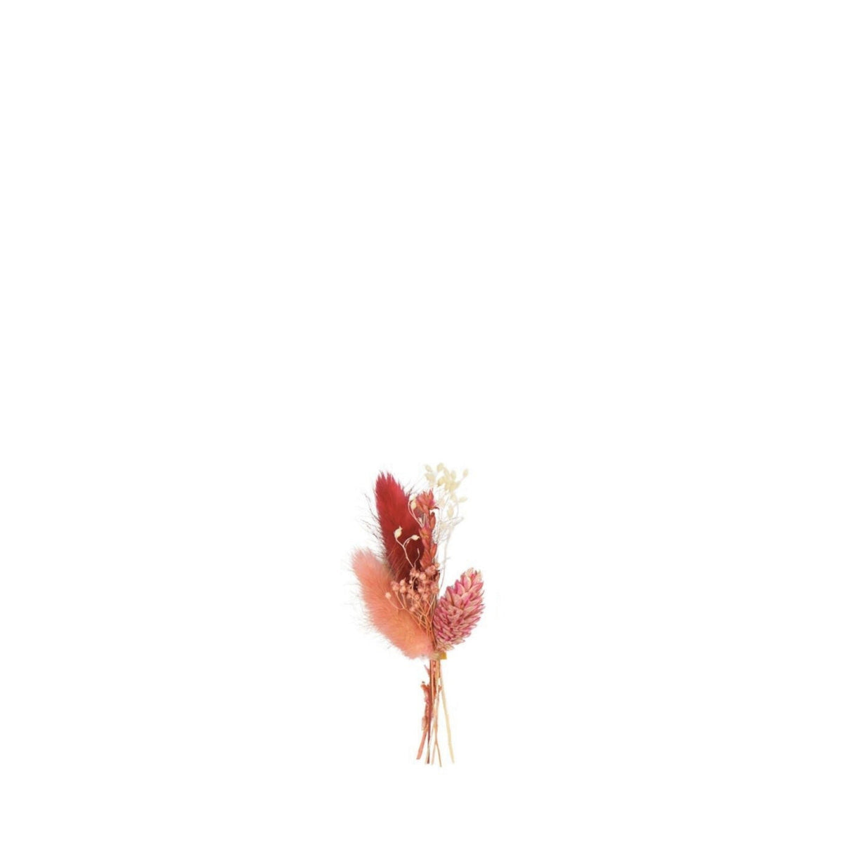 Minibundel Droogbloemen 11 cm - set van 6 - Rozenhout