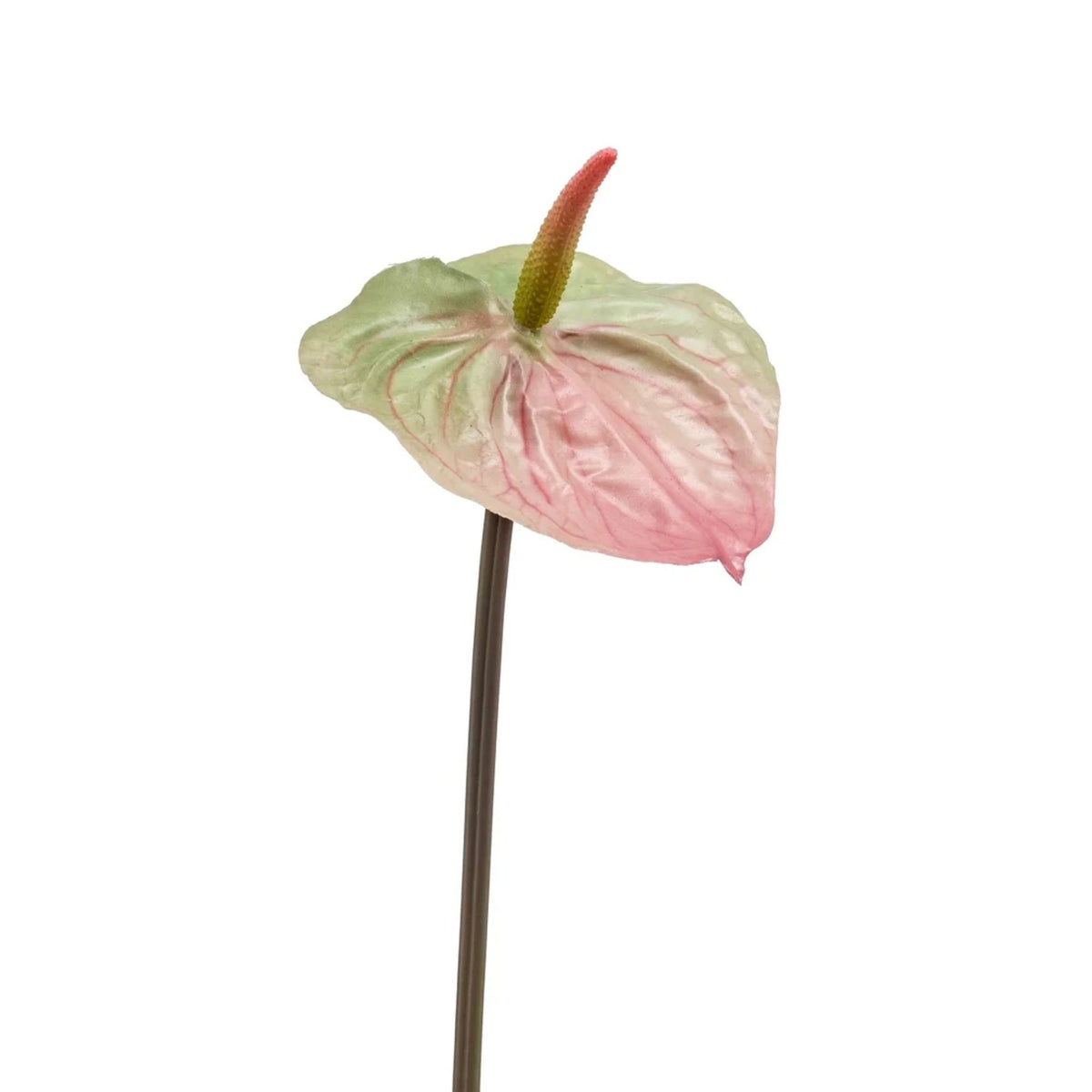 Anthurium Kunsttak groen/roze 65cm