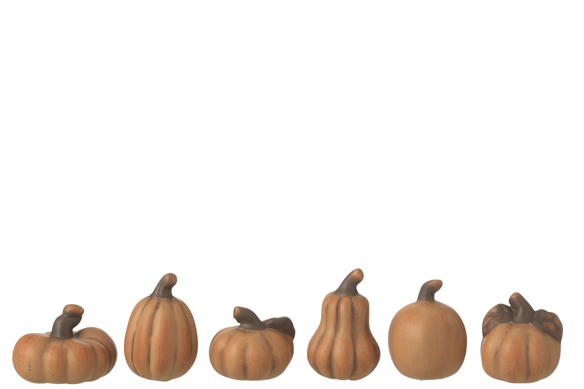 J-Line decoratie Pompoen - porselein - bruin - doos van 6