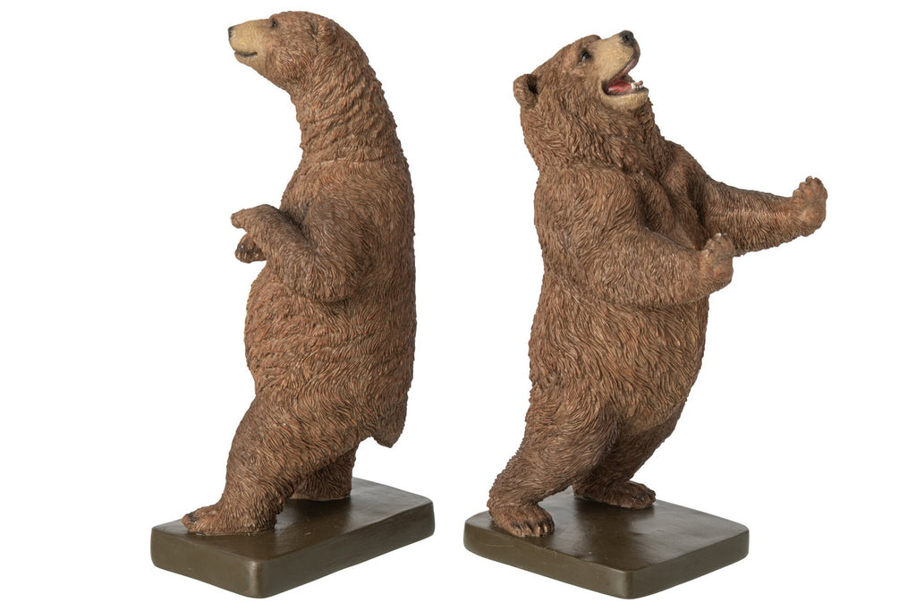 J-Line Boekensteunen beer - polyresin - bruin - set van 2