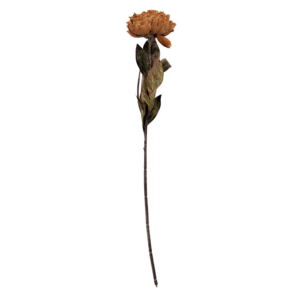 Kunstbloem 10x10x65 cm Bruin Kunststof