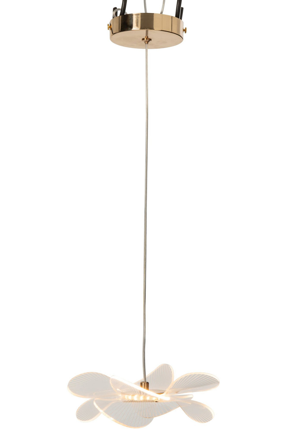 J-Line plafondlamp bloem - acryl - goud - small