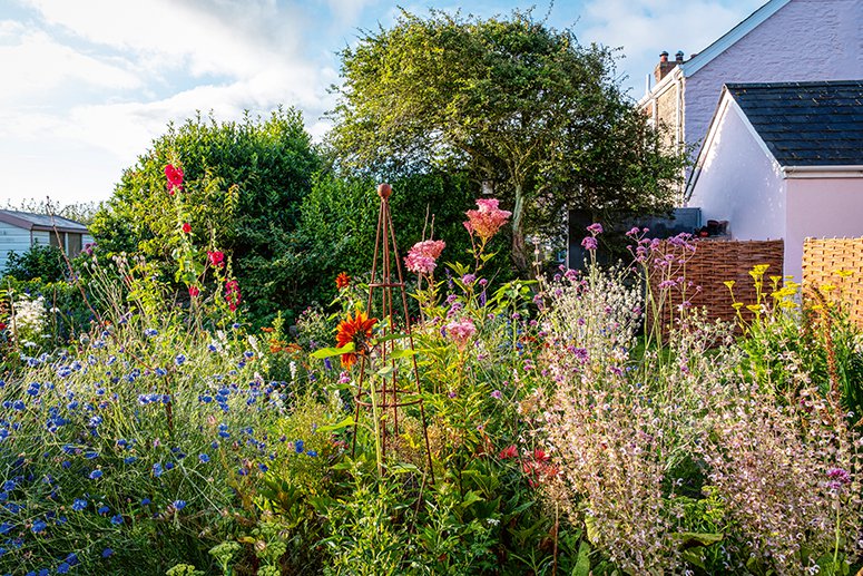 Ik droom van een cottage-tuin. Verliefd op delphiniums, phlox & vingerhoedskruid