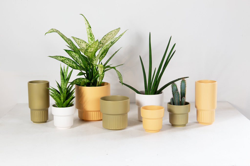 Lodi pot mat perzik