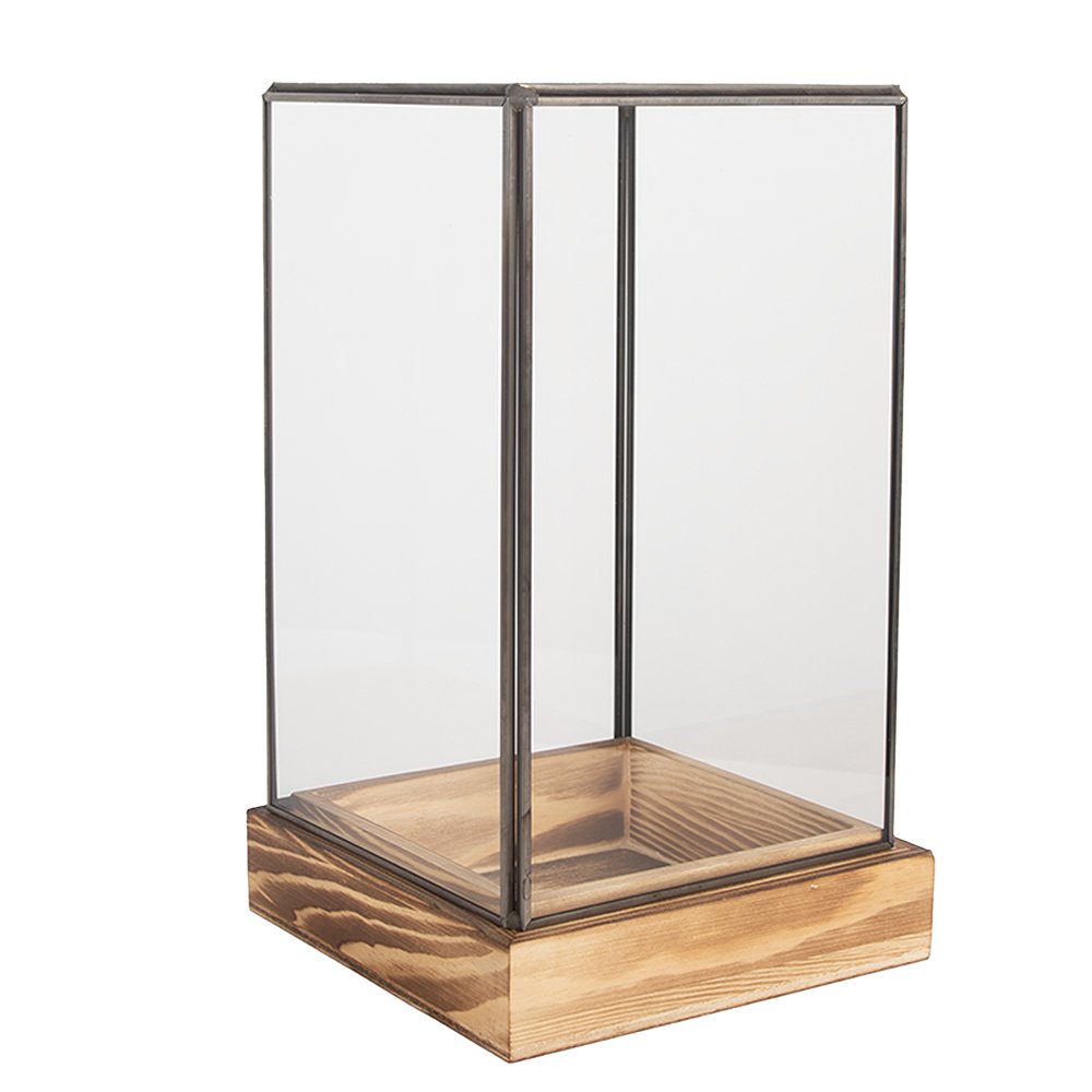 Decoratie Kweekkastje 14x14x24 cm Transparant Glas