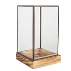 Decoratie Kweekkastje 14x14x24 cm Transparant Glas