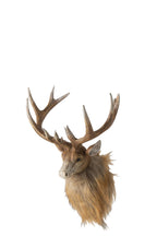J-Line wanddecoratie Hert Kop - polyresin - bruin/lichtbeige - small