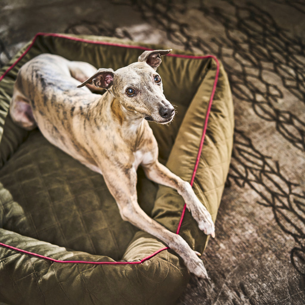 Oxford Ortho | Premium orthopedisch hondenbed