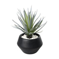 Kunstplant Yulara Groen 17x17x20 cm