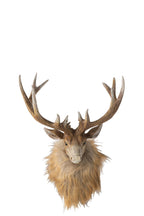 J-Line wanddecoratie Hert Kop - polyresin - bruin/lichtbeige - small