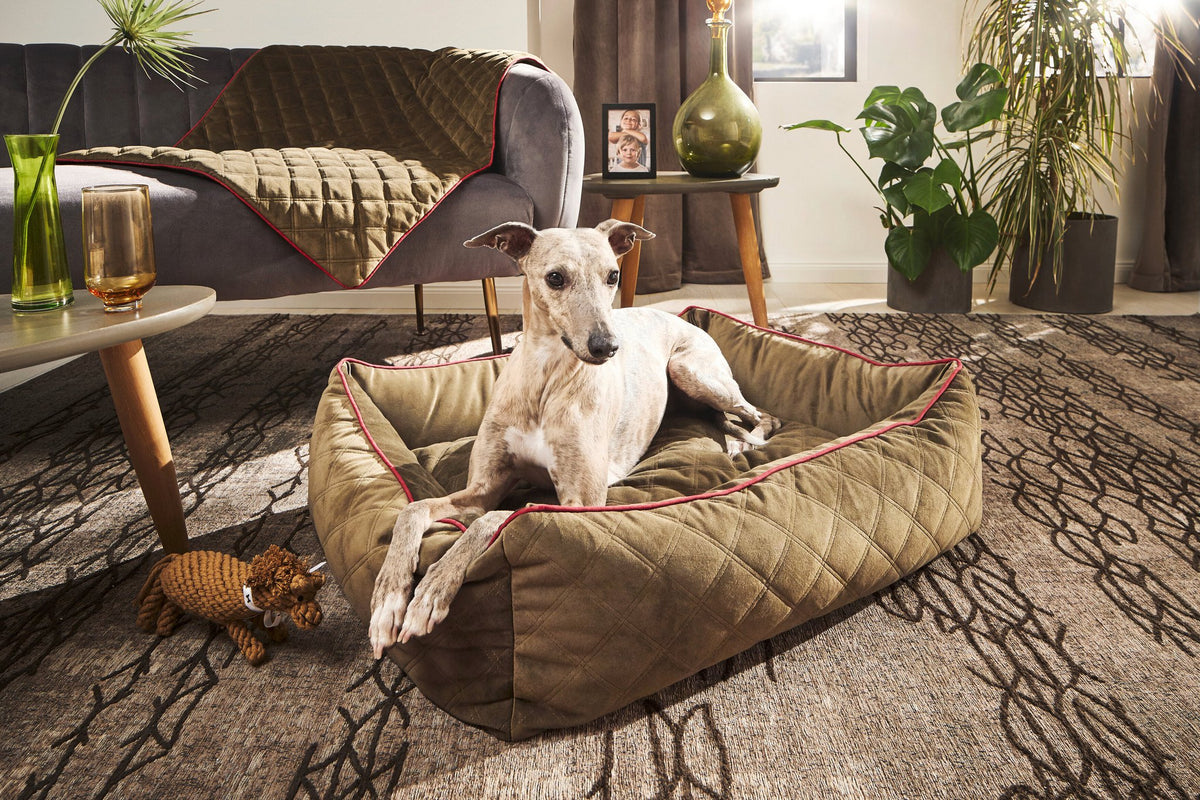 Oxford I Klassieke Hundebett