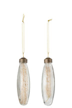 J-Line kerstbal Gedroogde Pampas - glas - transparant - M - doos van 4