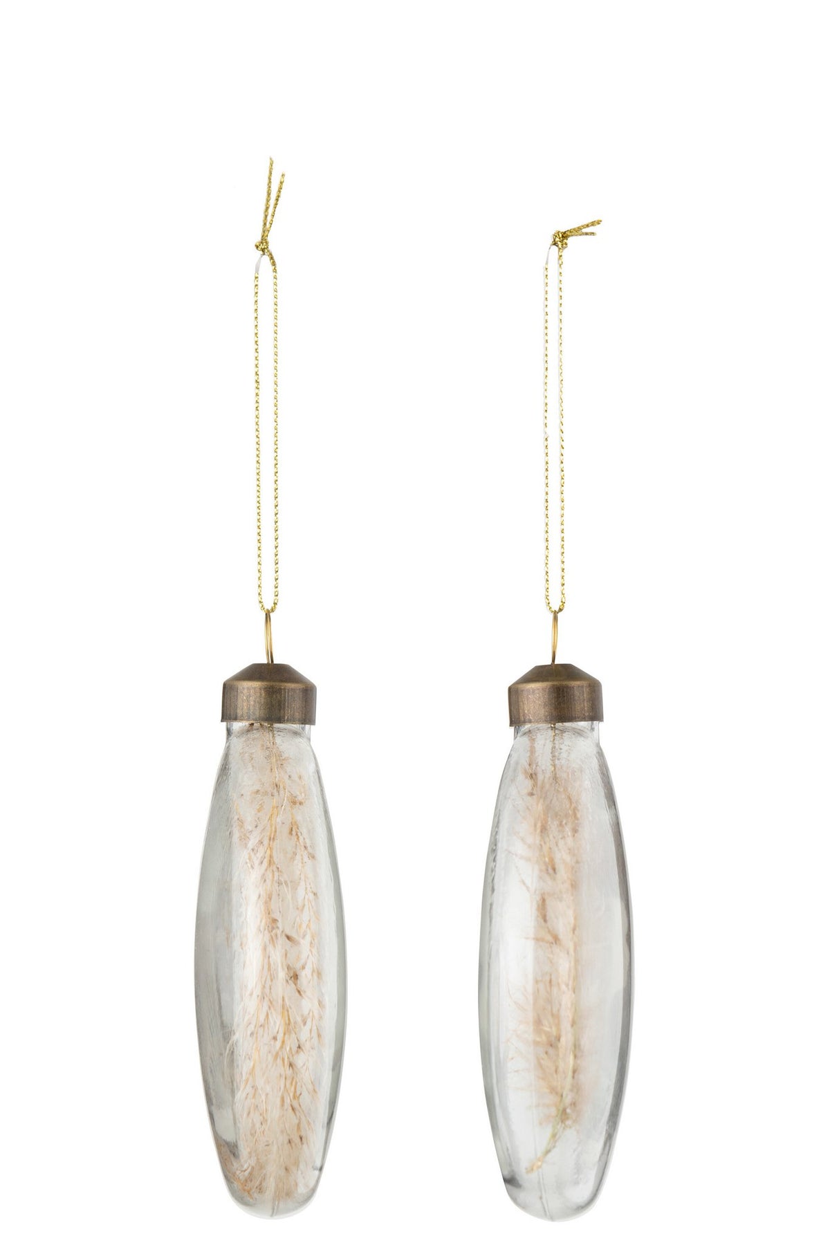 J-Line kerstbal Gedroogde Pampas - glas - transparant - M - doos van 4