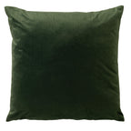 Nederlands decor Alyssa - Cushion 45x45 cm - Mayfly - Green