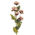 Kunstbloem 10x10x63 cm Paars Kunststof