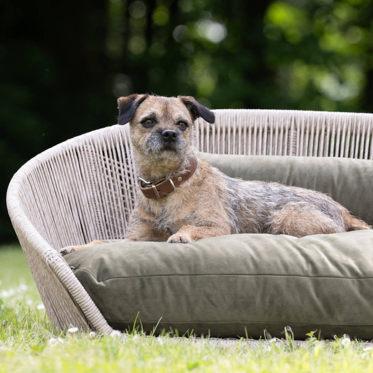 Giro leren halsband voor honden