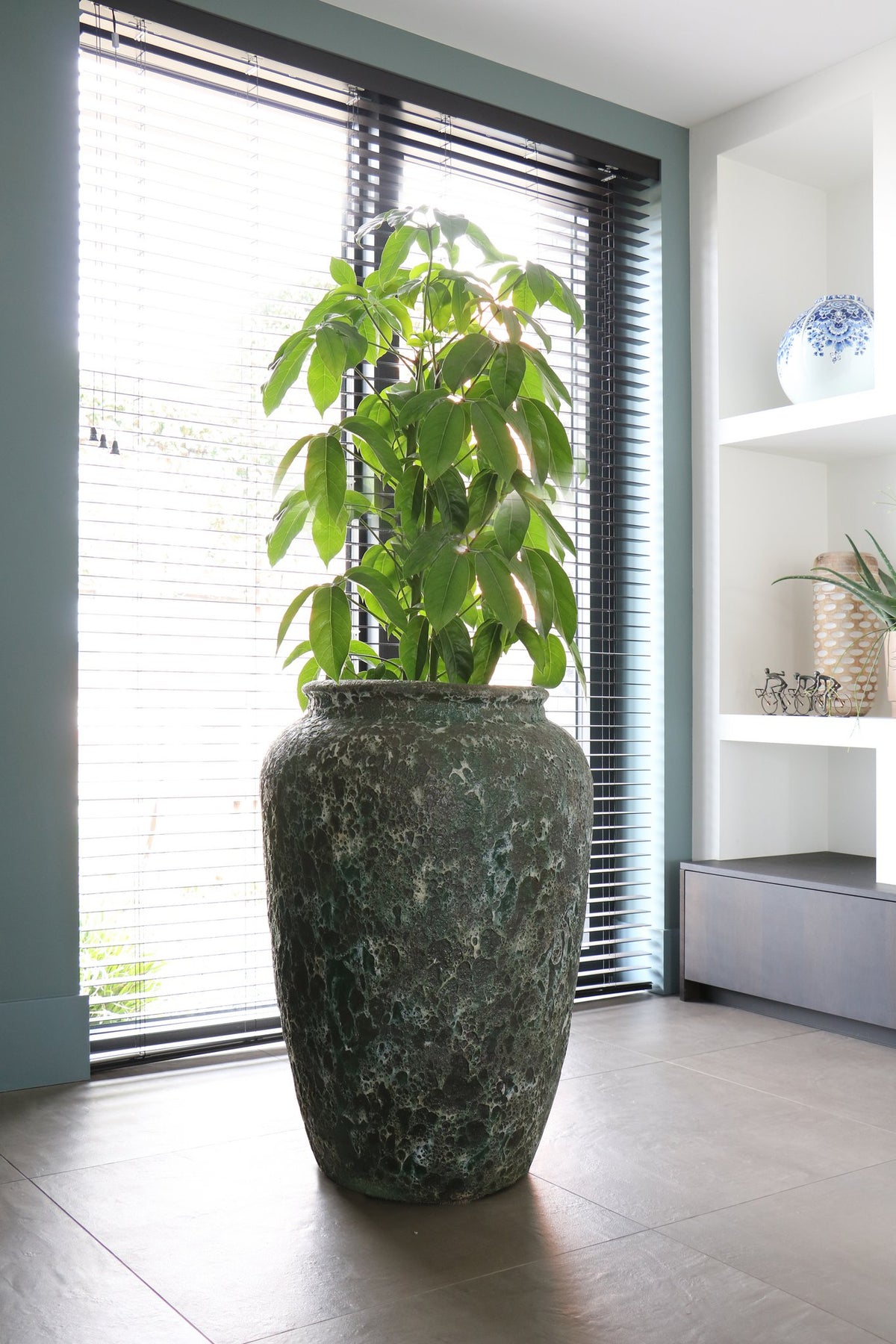Plantenpot - Ambang relic jade
