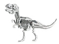 Bouwpakket 3D Model DIY Dino T-Rex Tyrannosaurus- metaal