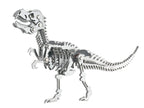 Bouwpakket 3D Model DIY Dino T-Rex Tyrannosaurus- metaal