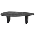 Salontafel Rudo 135 x 75 cm - Zwart Mangohout