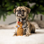 Rudi Rendier - cultspeelgoed voor honden