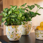 Bloempot Ø 14x14 cm Geel Keramiek Citroen Bloempot Binnen
