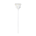 Kunstbloem Molave Wit 25x65cm