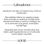 Louiz Labradoriet oorbellen