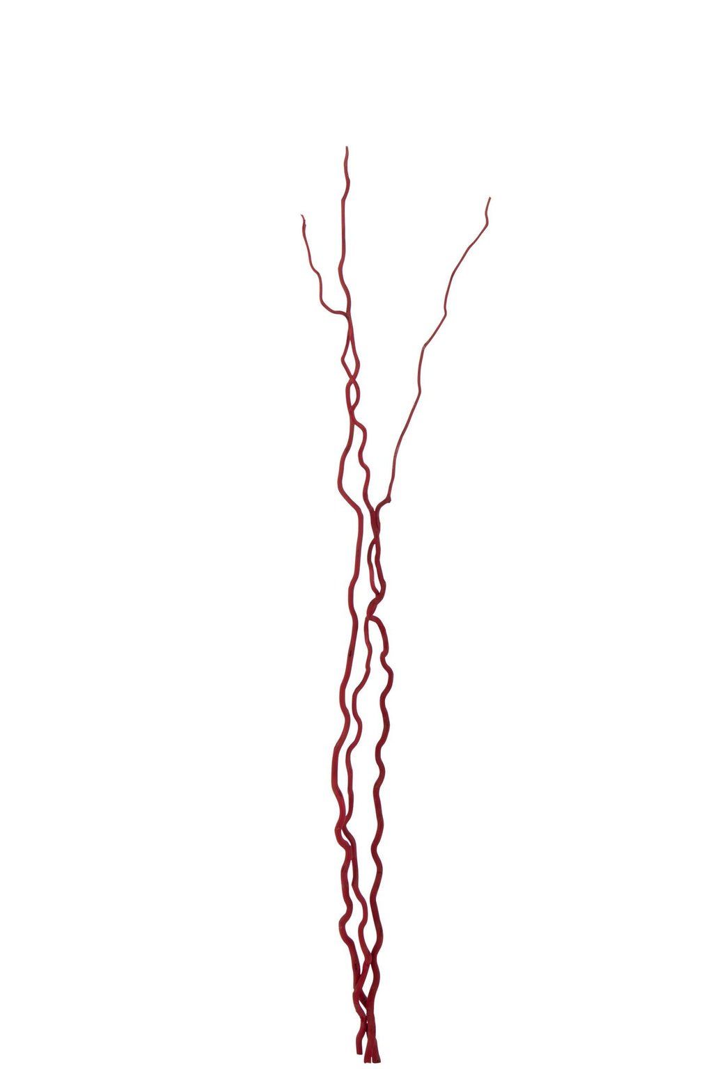 J-Line decoratie tak Droogbloemen - riet - rood - L - set van 5