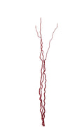 J-Line decoratie tak Droogbloemen - riet - rood - L - set van 5