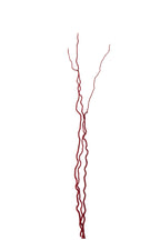 J-Line decoratie tak Droogbloemen - riet - rood - L - set van 5