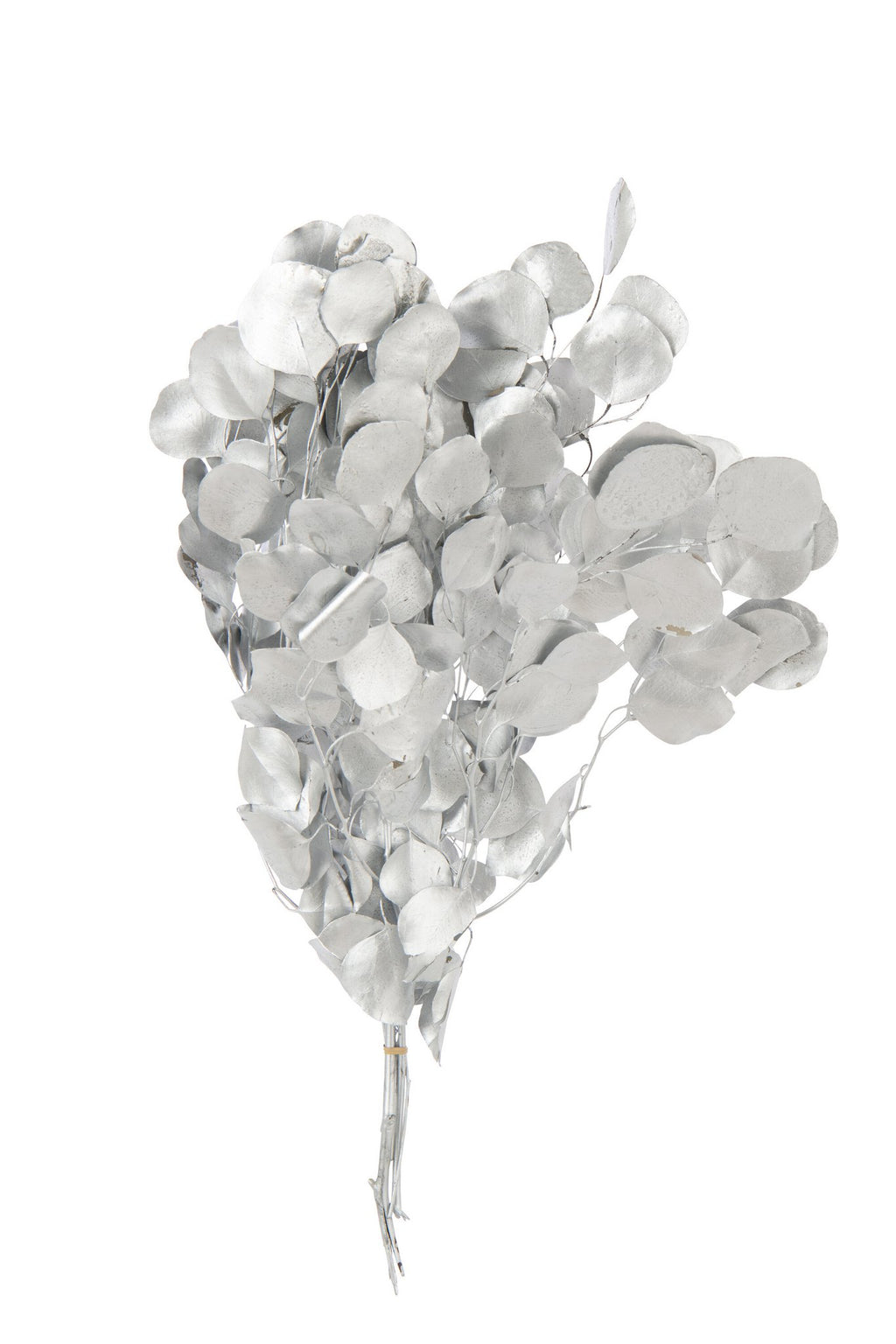 J-Line Droogbloemen Eucalyptus - Rieten - Zilver