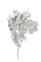 J-Line Droogbloemen Eucalyptus - Rieten - Zilver