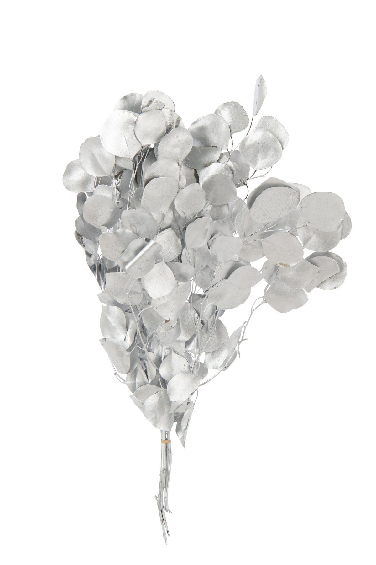 J-Line Droogbloemen Eucalyptus - Rieten - Zilver