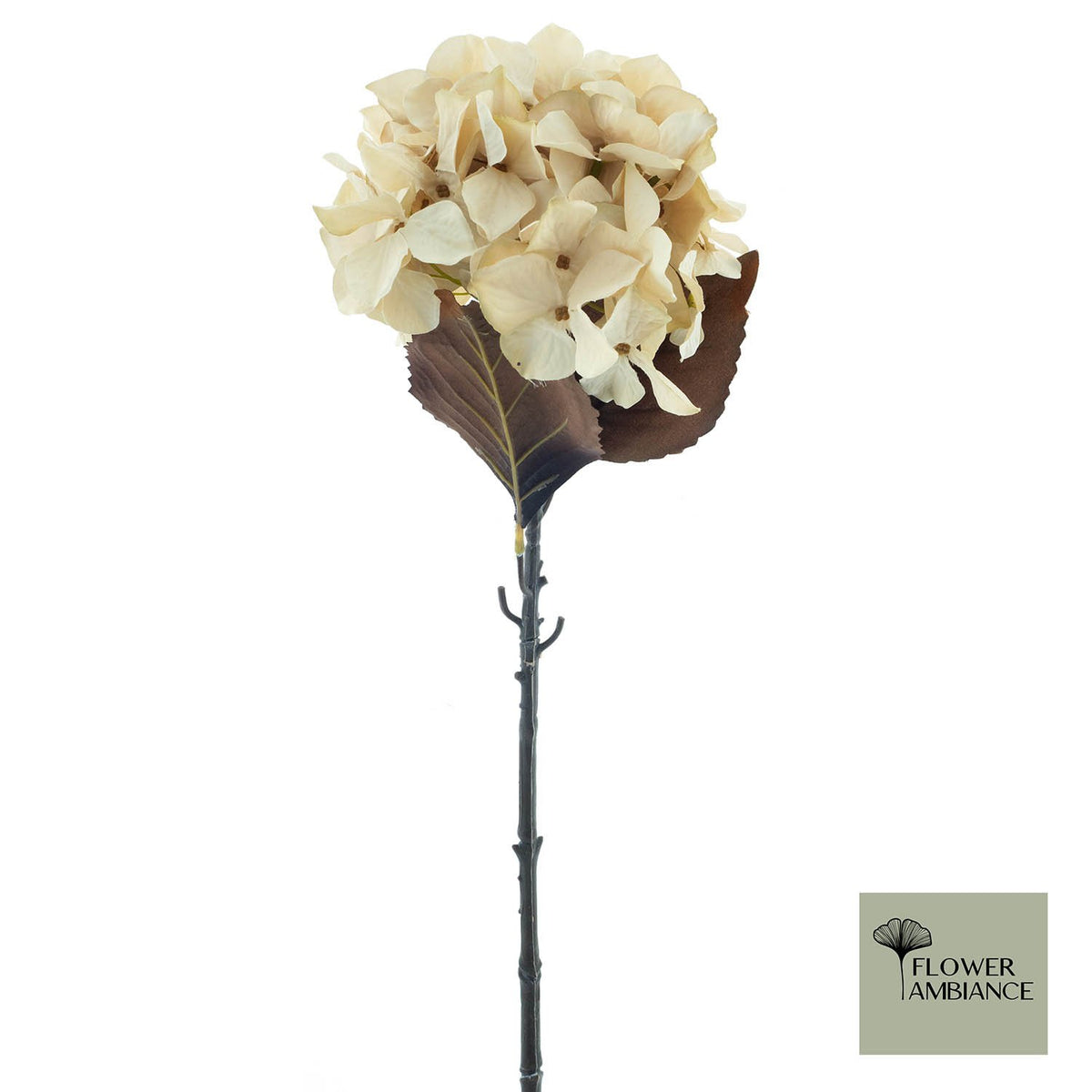 Hydrangea Mendoza cream 65cm