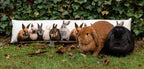Canvas tochtkussen konijntjes 20x90cm