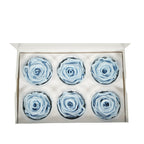 Rose Standaard W-Box 6 lavendel