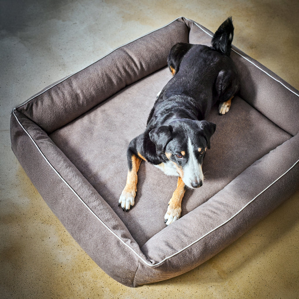 Buffel Ortho | Premium orthopedisch hondenbed