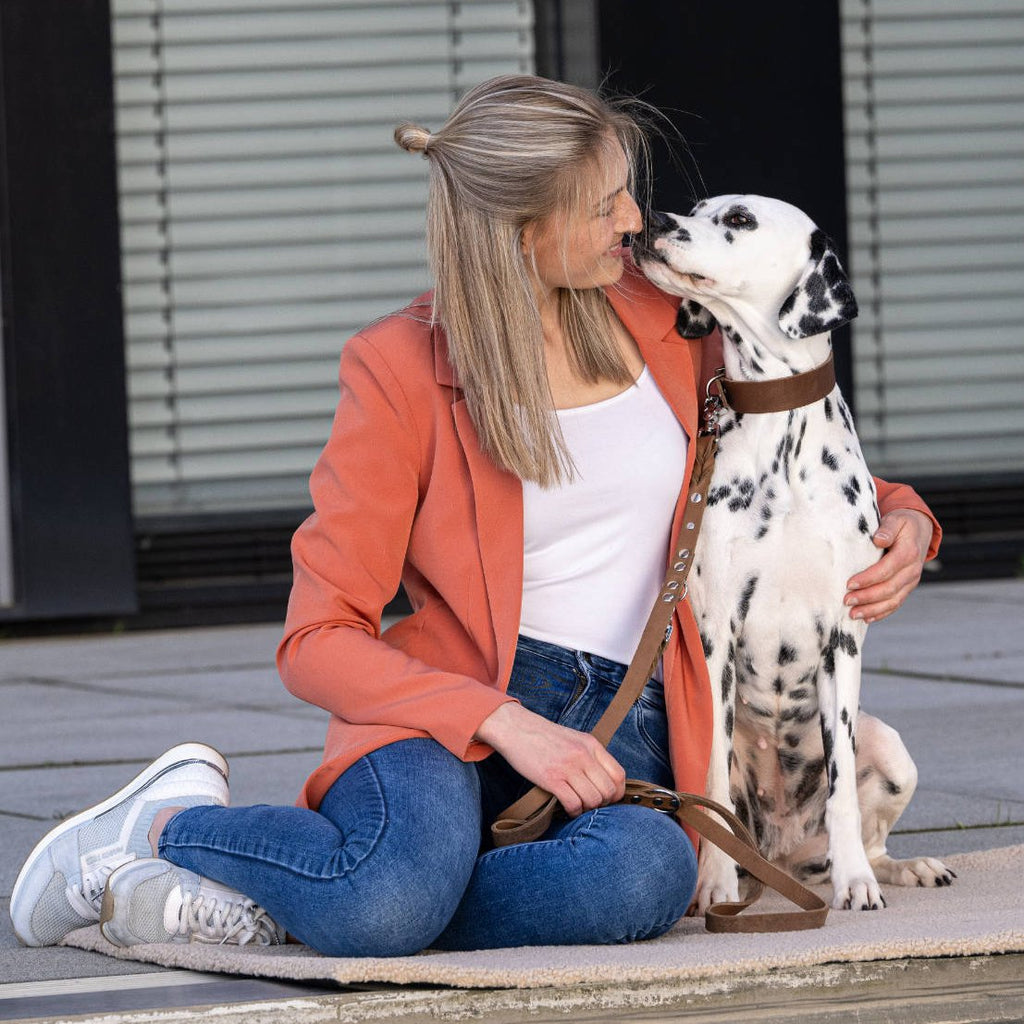 Giro leren halsband voor honden